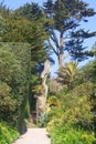 At Tresco Abbey Gardens a mixture of trees, tall, sculpted, palms, and plants around a path on the Isles of Scilly.