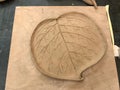 Sculpting clay in the process. Preparation of a clay flat plate in the form of a leaf on wooden board. Top view