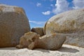 Sculptural formation of boulders in sand