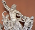 Sculptural group of LaocoÃÂ¶n and His Sons Royalty Free Stock Photo