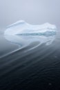 Sculptural iceberg shrouded in fog and floating in the dark waters of Antarctica Royalty Free Stock Photo