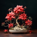 Sculptural Paper Poinsettia Bonsai With Detailed Petals
