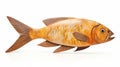 Sculptural Relief Wooden Fish Illustration On White Background