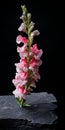 Sculpture-based Photography: Small Pink Flower On Black Background