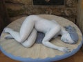 Sculpture of a beautiful girl sleeping in a floral dish
