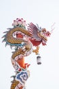 Sculpture of chinese dragon pillar