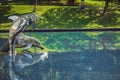 Sculpture of dolphins in the city park. Kuala Lumpur, Malaysia. Royalty Free Stock Photo