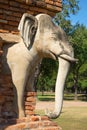 Sculpture elephant closeup, supporting an ancient buddhist chedi Wat Sorasak. Park of Sukhothai, Thailand