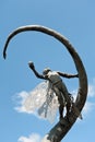 Sculpture of flying boy in Kutaisi, Georgia Royalty Free Stock Photo