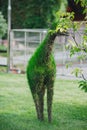 Sculpture giraffe from green grass at park Royalty Free Stock Photo
