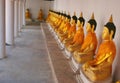 Sculpture gold old buddha rows in temple South Thailand