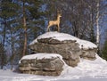 Golden deer - the symbol of the resort of Belokurikha