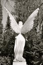 Sculpture of an Guardian Angel. Rear view. Beautiful old tombstone made of white marble. Seen in Hamburg Ohlsdorf, Germany, in t