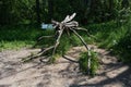 Sculpture of handmade mosquito in park close-up. concept of travel in Russia. Kivach Nature Reserve in Karelia. Royalty Free Stock Photo