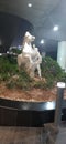 A sculpture of a horse, jumping posture