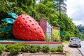 A sculpture of a huge red strawberry on the side of the road. Strawberry Farms District Symbol