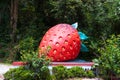 A sculpture of a huge red strawberry on the side of the road. Strawberry Farms District Symbol