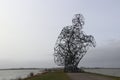 Sculpture lelystad markermeer