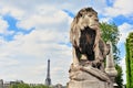 Sculpture Lion