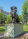 Sculpture Lion in the City garden of Odessa, Ukraine