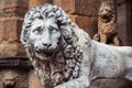 Sculpture of Lion located in Florence Royalty Free Stock Photo