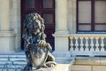 A sculpture of a lion with a shield at the entrance to the museum. Konigsberg Stock Royalty Free Stock Photo