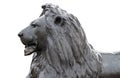 Sculpture of a lion in Trafalgar Square Royalty Free Stock Photo