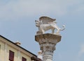 The sculpture of a lion in Vicenza