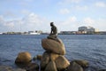 The sculpture of the little Mermaid on the background of the harbour quay of Copenhagen. Denmark