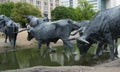 Sculpture of longhorn cattle crossing a stream