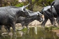 Sculpture of longhorn cattle crossing a stream Royalty Free Stock Photo