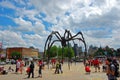 Sculpture Maman and Parliament in Ottawa