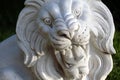 Sculpture of marble lion head with open mouth face