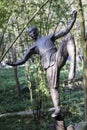 The sculpture of martial art in mount emei,china