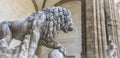 Sculpture of Medici lions in Florence,Tuscany