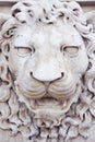 Sculpture of a medieval lion head of stone Italy - frontal view