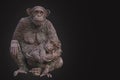 Sculpture. A monkey with a cub.