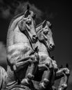 Sculpture, Monochrome, horses, BlackandWhite