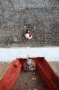 Sculpture and Multi-language inscription of Hanuman Dhoka in Basantapur Durbar Square Royalty Free Stock Photo