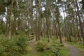 Sculpture park at Webbers Post, Exmoor, North Devon