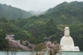 Sculpture of quanyin Royalty Free Stock Photo