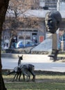 The sculpture of roe deers in the garden of Crystal in Sofia, the monument of Stefan Stambolov for background