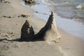 Sculpture of sand. The Palace by the sea