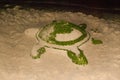 Sculpture of sand. Turtle. Boracay. Philippines. Royalty Free Stock Photo