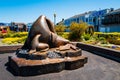 Sculpture of seals in Pier 39 with vibrant flowers around it in San Francisco, California