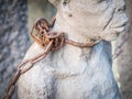 Sculpture of slaves in Stone Town, Zanzibar Royalty Free Stock Photo