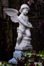 Sculpture of a small white angel in a cemetery