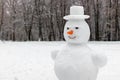 Sculpt a snowman in the winter holidays