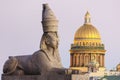 Sculpture of the Sphinx against the background of St. Isaac\'s Cathedral