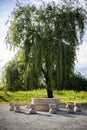 The sculpture titled Table of Silence, art by the sculptor Constantin Brancusi Royalty Free Stock Photo